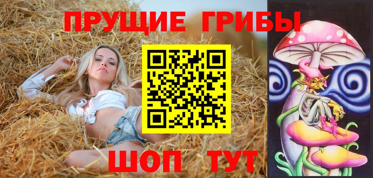 Галлюциногенные грибы GOLDEN TEACHER  Галлюциногенные грибы прущие грибы  Вход с VPN  Туймазы 
