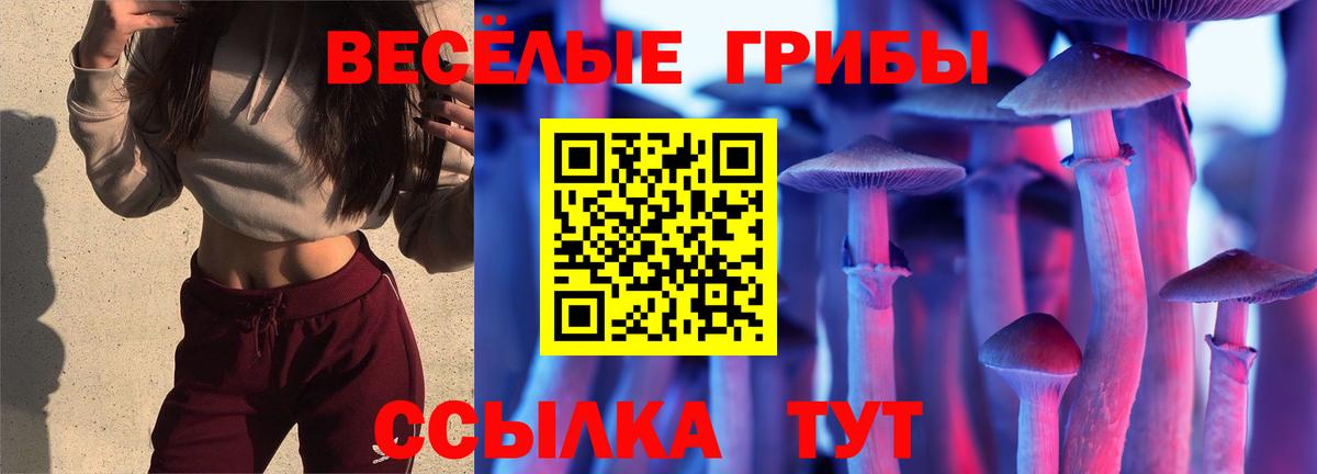 Галлюциногенные грибы Psilocybe Туймазы