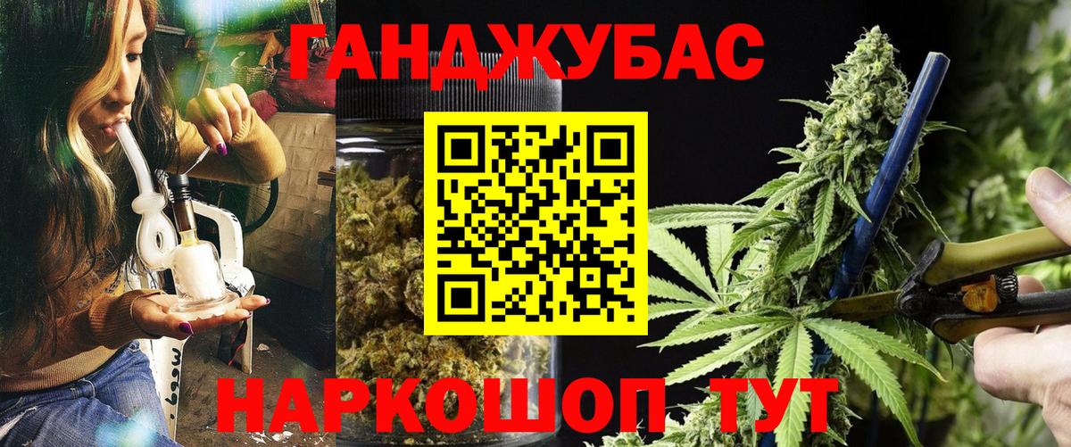 Канабис Bruce Banner  Вход с VPN  МАРИХУАНА сатива  Туймазы  Конопля конопля  Марихуана план 